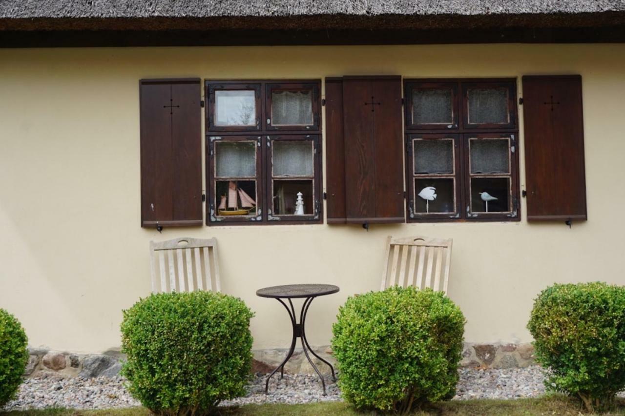 Fischerhus In Krummin - Nur Fuer Urlauber Ngoại thất bức ảnh